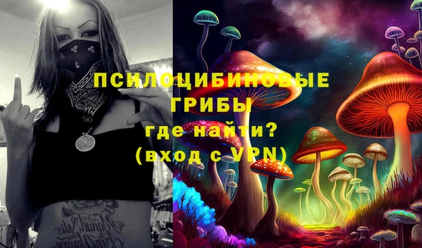 твердый Аркадак