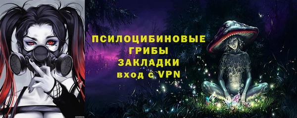 ешки Алексеевка