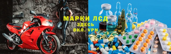 твердый Аркадак