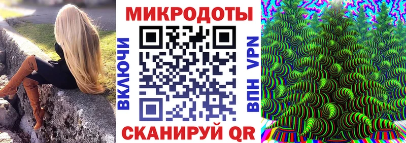 Купить закладки  Качканар  Галлюциногенные грибы Psilocybe 
